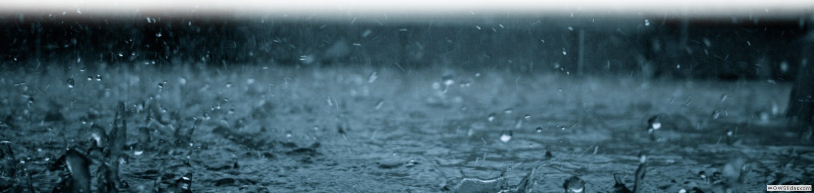 banner2