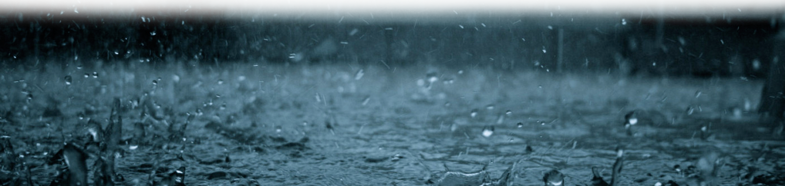 banner2
